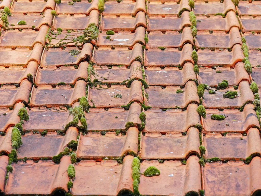 nettoyage-banniere https://maison-cloteaux.fr/wp-content/uploads/2026/07/nettoyage-banniere.jpg